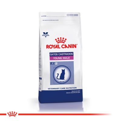 Royal Canin Alimento Seco para Gatos Castrados Young Male