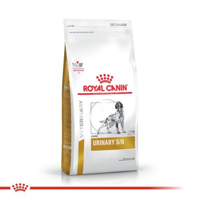 Royal Canin Alimento Seco para Perro Urinary S/O Canine