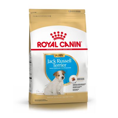 Royal Canin Alimento Seco para Perro Jack Russel Puppy