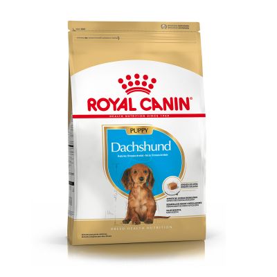 Royal Canin Alimento Seco para Perro Dachshund Puppy