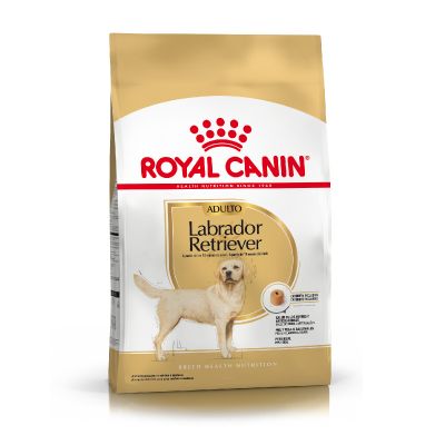 Royal Canin Alimento Seco para Perro Labrador Retriever Adult | 12 kg