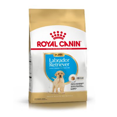 Royal Canin Alimento Seco para Perro Labrador Retriever Junior | 12 kg