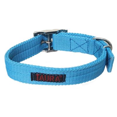 Taura Collar Con Hebilla Tipo Hamilton Perro  