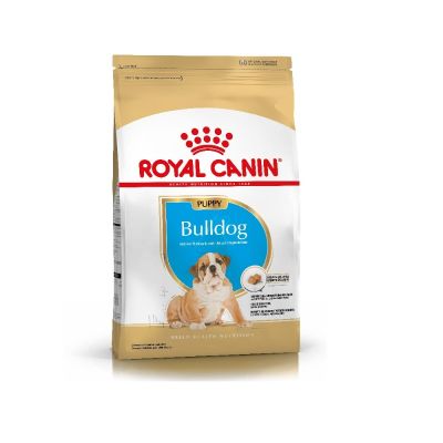 Royal Canin Alimento Seco para Perro Bulldog Inglés Puppy