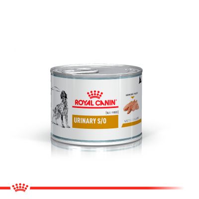 Royal Canin Alimento Húmedo para Perro Urinary S/O Canine