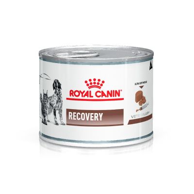 Royal Canin Alimento Húmedo para Gato y Perro Recovery Feline & Canine