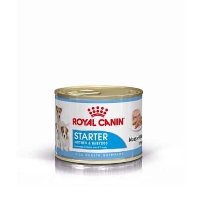 Royal Canin Alimento Húmedo para Perro Starter Mother & Babydog