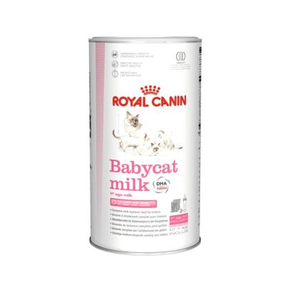 Royal Canin Alimento Seco para Gato Babycat Milk | 300 gr