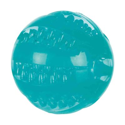Pelota de TPR - DentaFun