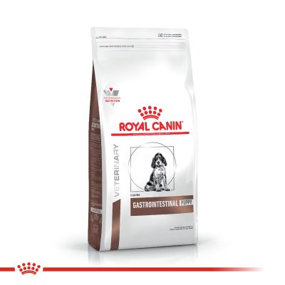 Royal Canin Alimento Seco para Perro Gastrointestinal Junior Canine | 2 kg