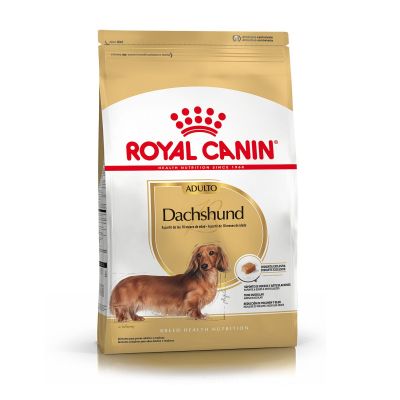 Royal Canin Alimento Seco para Perro Dachshund Adult 