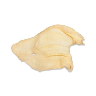Huesos del sur Perros Oreja de Vaca