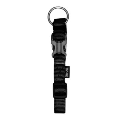 Zeus Collar Perro Talle M 