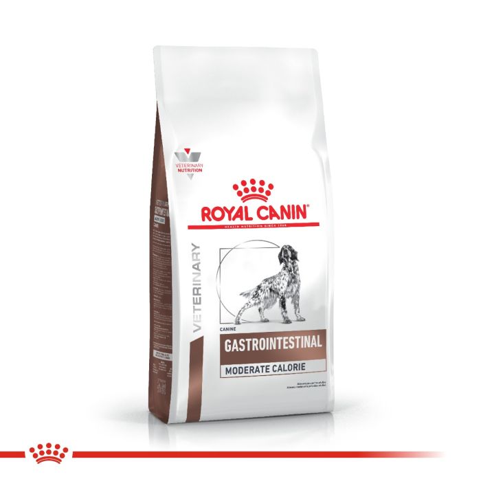 Royal Canin Alimento Seco para Perro Gastrointestinal Moderate Calorie Canine | 10kg