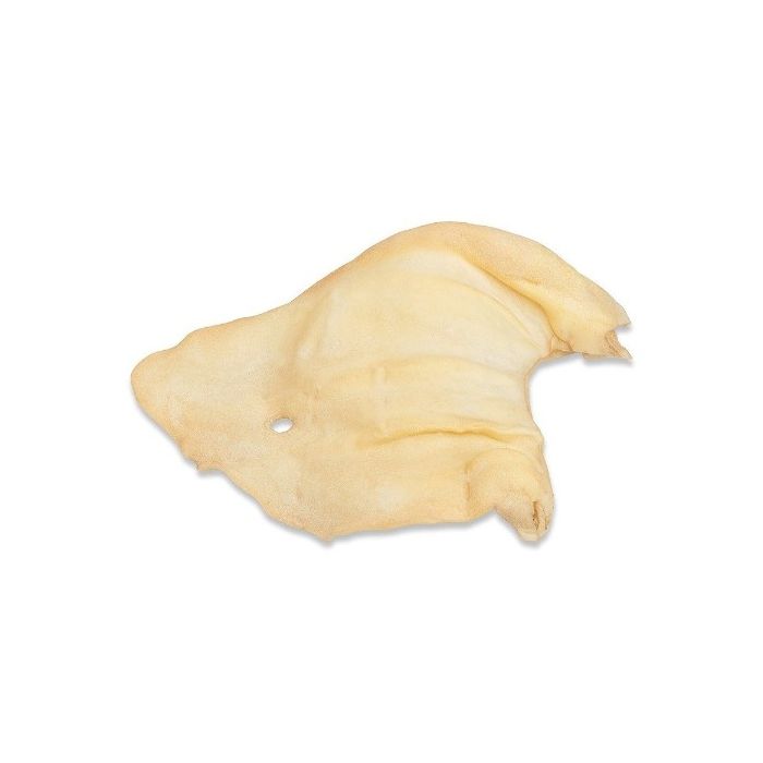Huesos del sur Perros Oreja de Vaca