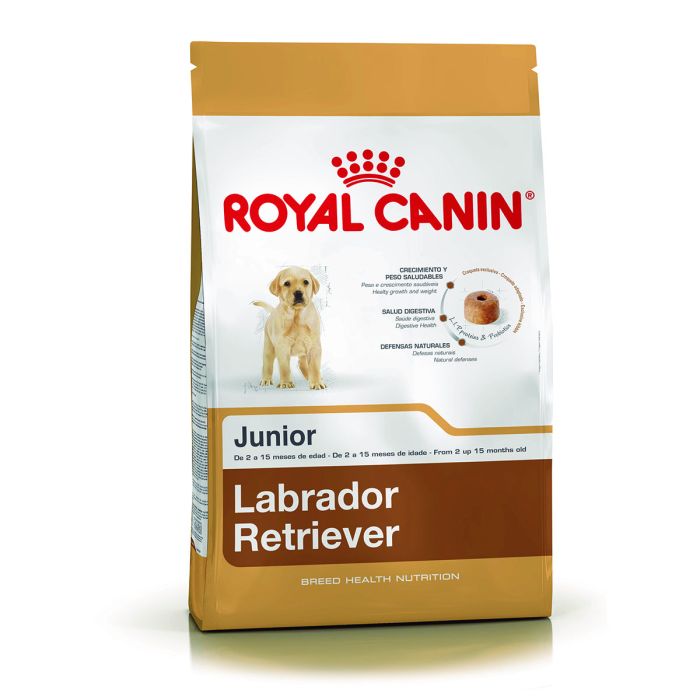 Royal Canin Alimento Seco para Perro Labrador Retriever Junior