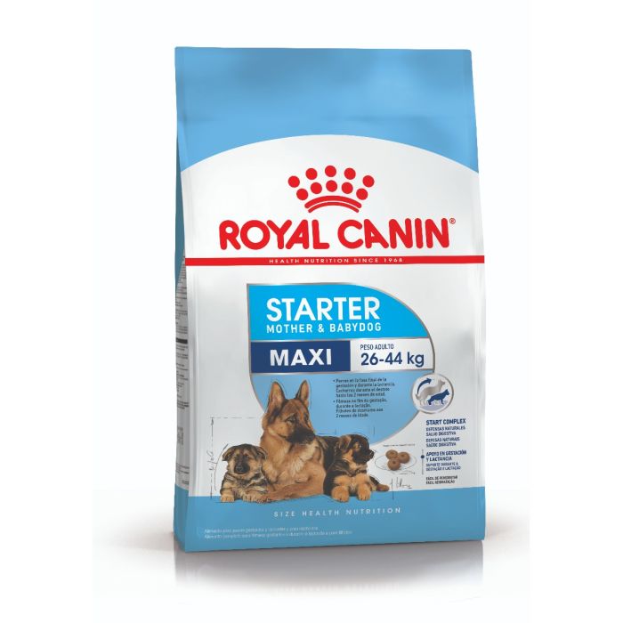 Royal Canin Alimento Seco para Perro Maxi Starter Mother & Babydog | 10kg