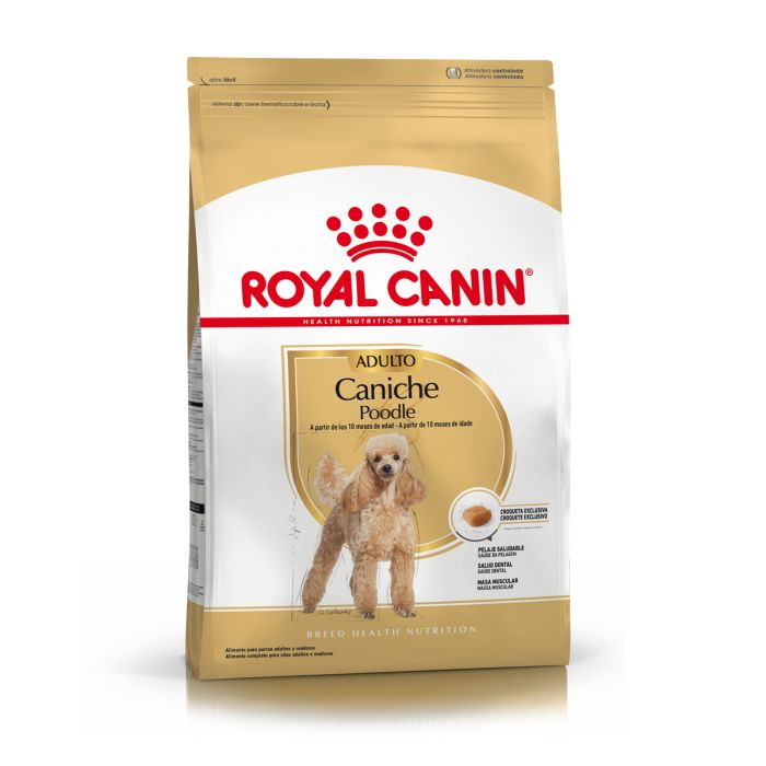 Royal Canin Alimento Seco para Perro Caniche Adult