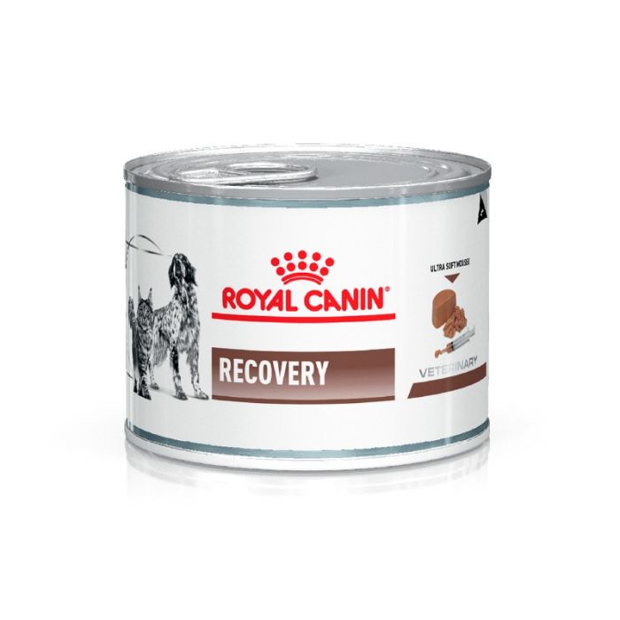 Royal Canin Alimento Húmedo para Gato y Perro Recovery Feline & Canine