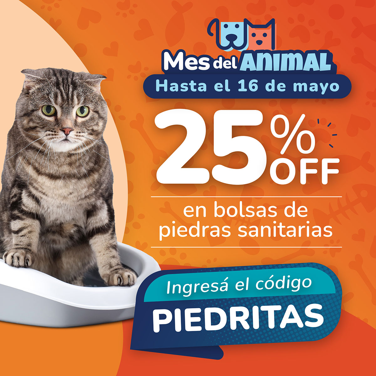  MVS - Cross Sell Piedritas